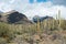 Arizona snow capped mountains and Saguaro cactus