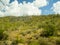 The Arizona Sonora Desert Museum South of Phoenix Arizona USA