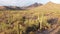 Arizona Sonoran Desert passing Saguaro cactus