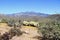 Arizona, Sonoran Desert: Spring Flowers at the Foothills of Four Peaks