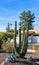 Arizona Streets Desert Style Xeriscaping