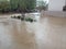 Arizona Streets in Monsoon Rain