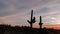 Arizona Sunset Landscape Time Lapse With Cactus Near Phoenix