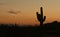 Arizona sunset with a silhouette of a saguaro cactus
