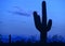 Arizona sunset with a silhouette of a saguaro cactus