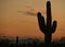 Arizona sunset with silhouette of a saguaro cactus and mountain