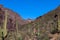 Arizona, superstition mountain wilderness, dutchman trail,