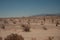 Arizona Valley Natural Desert Landscape Phoenix, USA