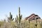 Arizona view of saguaro cacti and mountains