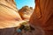 Arizona Wave - Famous Geology rock formation in Pariah Canyon, USA