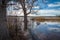 Arizona wetlands and animal riparian preserve.