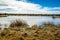 Arizona wetlands and animal riparian preserve.