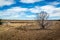 Arizona wetlands and animal riparian preserve.