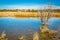 Arizona wetlands and animal riparian preserve.