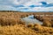 Arizona wetlands and animal riparian preserve.