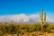 Arizona Wildfire with Billowing Smoke