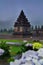 Arjuna temple stands tall in the drizzling rain and light fog. Sunlight gently greets the Hydrangea Paniculata flower