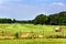 Arkansas Hay Field With Rolls of Hay
