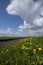 Arkemheense polder, Nederland / Netherlands