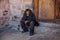 Arkhyz, Karachay-Cherkessia, Russia - April 26, 2017: Shabby homeless sad old man is sitting on the threshold of the church