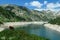 Arlhoehe - A cow grazing at the lake side in high Alps