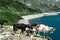 Arlhoehe - A group of goats standing at the shore of an artificial lake in Austria