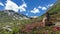 Arlhoehe - A woman sitting between Alpine roses and enjoying the summer day in the mountains