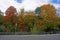 Arlington Autumn Foliage Colors -03