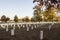 Arlington Cemetary Graves