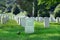 Arlington Cemetery Pledge