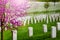 Arlington cemetery tombs in rows, graves at spring