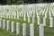 Arlington Military Cemetery