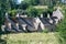 Arlington Row Cottages in Bibury Gloucestershire