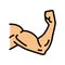 arm muscle color icon vector illustration