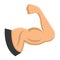 Arm Muscle flat icon, fitness and sport, biceps