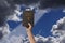 Arm raised into the air with hand reaching up and holding the Holy Bible. Dark blue sky and a ray of light coming through dramatic