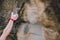 Arm of a rock climber man gripping the crack wall