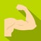 Arm showing biceps muscle icon, flat style