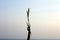 Arm of young woman raised holding grass flower plant in hand against soft color of sunset light sky. Minimalism simplicity concept