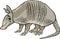 Armadillo animal cartoon illustration