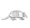 Armadillo animal outline icon