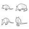 Armadillo Animal Vector Illustration Hand Drawn Cartoon Art