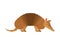 Armadillo isolated. Animal armor-clad vector illustration