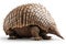 armadillo isolated on white background. Generated by AI