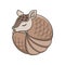 Armadillo sleeping and rolled up into a ball cartoon vector illustration