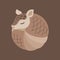 Armadillo sleeping and rolled up into a ball vector illustration