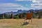 An armchair to enjoy the mountain landscape of Pedra do BaÃº and nature