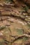 Armed force multicam camouflage fabric texture back