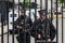 Armed Police guard the Gates into Downing Street in Westminster, London.