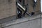 Armed police officers stood on top of a roof in leeds city centre